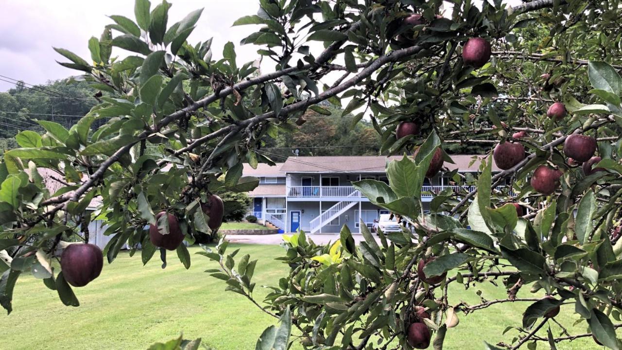 Meadowlark Motel With Restaurant & Bar 马吉谷 外观 照片